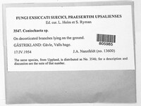 Image Associated With the Occurence